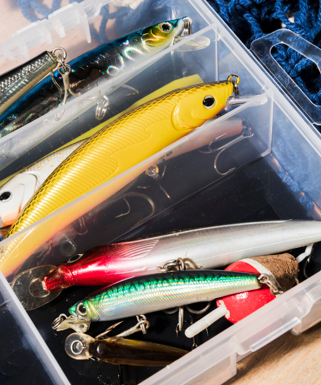 Articulos de pesca para venta de dropshipping